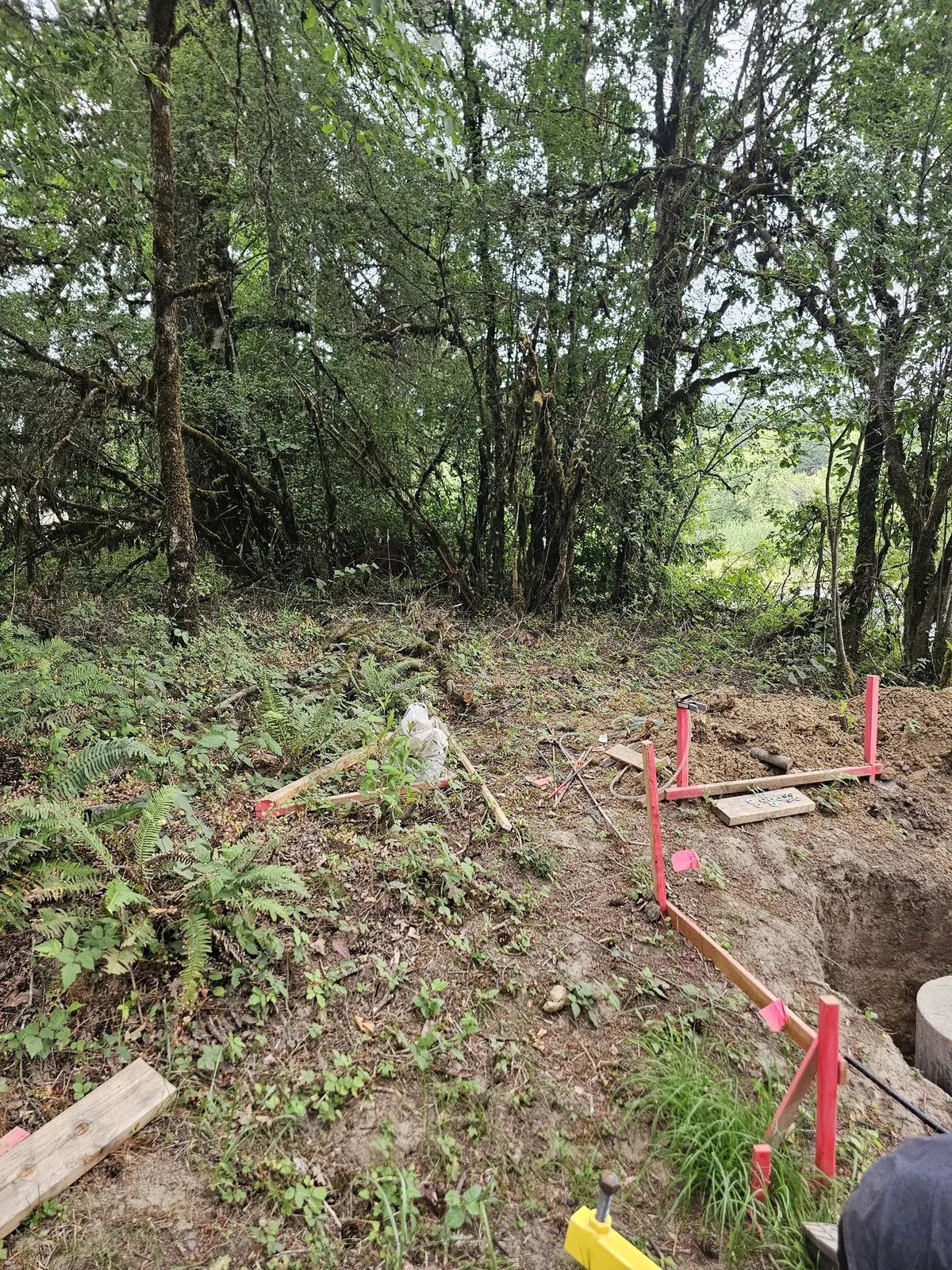 Brush, cut vegetation and layout stakes beside the cemetery entrance during site preparation.