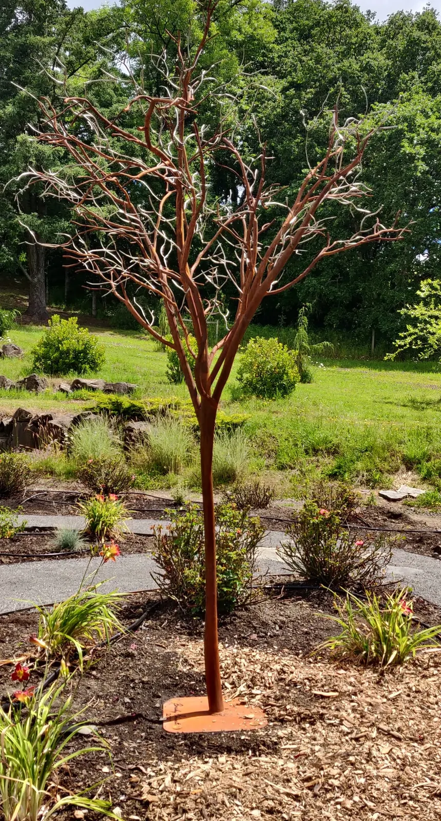 Steel and stainless steel tree sculpture standing in a garden